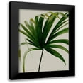 thumbnail image 1 of Urban Road 15x18 Black Modern Framed Museum Art Print Titled - Solo, 1 of 5