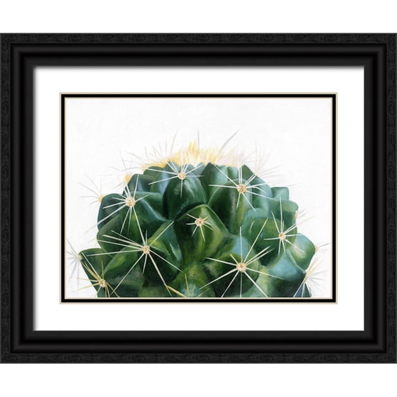 Urban Road 18x15 Black Ornate Wood Framed with Double Matting Museum Art Print Titled - Cacti