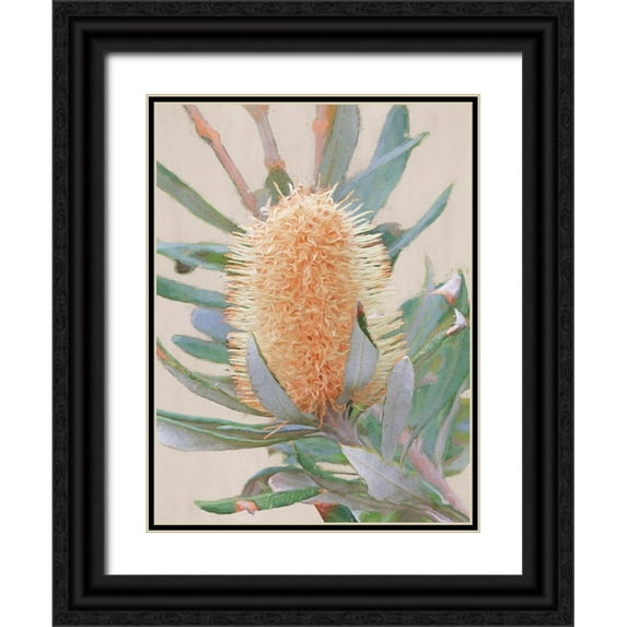 Urban Road 25x32 Black Ornate Wood Framed with Double Matting Museum Art Print Titled - Golden Banksia Art Print