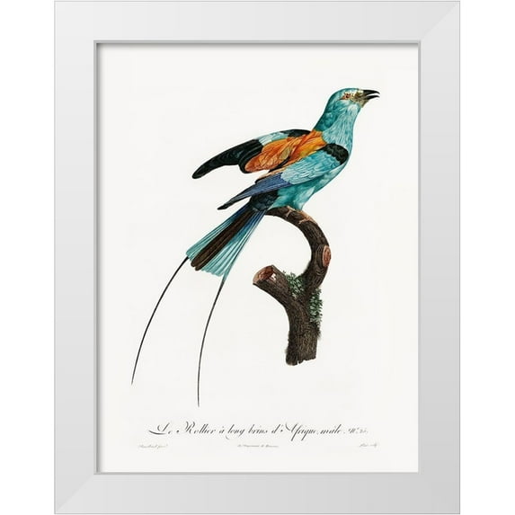 Urban Road 25x32 White Modern Wood Framed Museum Art Print Titled - Songbird I Poster