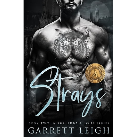 Urban Soul: Strays: Angsty Gay Romance (Paperback)