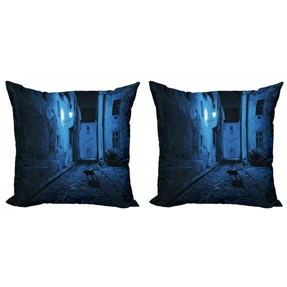 Ambesonne Urban Throw Pillow Cover 2 Pack, Black Cat Deserted Street, 24", Blue Black White