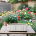 thumbnail image 1 of Lucia Cement Rectangular Pot, 1 of 9