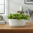 thumbnail image 1 of Jewel Ceramic Low Oval Pot with Embossed Lattice Design, 1 of 9