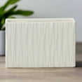 thumbnail image 1 of Aeros Ceramic Rectangle Vase, 1 of 7