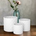thumbnail image 1 of Diamora Ceramic Round Pot (Set of 3), 1 of 4