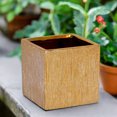 thumbnail image 1 of Poppy Ceramic Brushed Golden Square Pot, 1 of 3