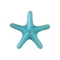 thumbnail image 1 of Urban Trends Collection Ceramic Callous Gloss Finish Turquoise Large Sea Star Figurine, 1 of 2