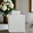 thumbnail image 1 of Novien Embossed White Temple Jars, 1 of 3
