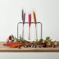 thumbnail image 1 of Trivana Metal Clustered Hanging Bud Vase Holder, 1 of 6