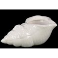 thumbnail image 1 of Ceramic Conch Seashell Figurine Gloss Finish White, 1 of 2