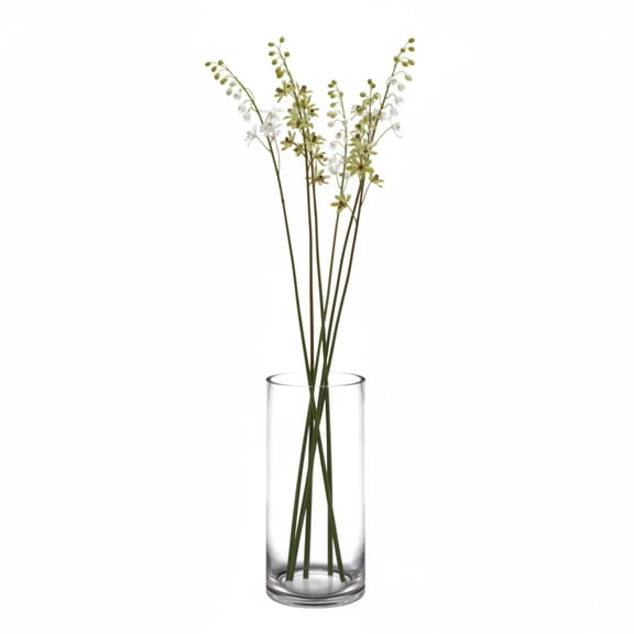 Miri Clear Glass Cylinder Vase, Decorative Flower Vase, Centerpiece Vase, Multiple Sizes