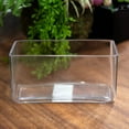 thumbnail image 1 of Elaris Rectangular Clear Glass Trough, 1 of 2