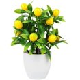 UrbanMingle Artificial Lemon Bonsai, 9.65inch 12 Fruit Kumquat Lemon