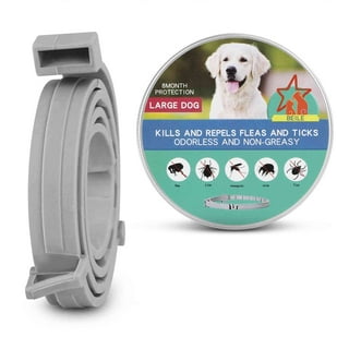 Serta flea outlet collar