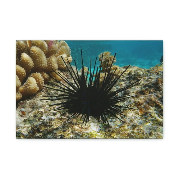 Urchin Hunting Urchin on Hunt Print Animal Wall Art Wildlife Canvas Prints Wall Art Ready to Hang Unframed