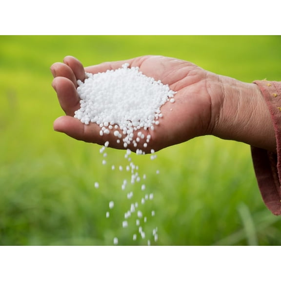 Urea Fertilizer 46-0-0 Made in USA Plant Food for Indoor/Outdoor Flowers & Gardens - Promotes Lush Growth - Lettuce, Green Lawns, Fruit, Vegetables, Citrus Trees (20 Pounds)