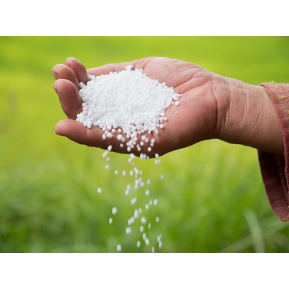 CZ Grain 5 Pounds Urea Fertilizer 46-0-0 Made in USA Plant Food for Indoor/Outdoor Flowers & Gardens - Promotes Lush Growth - Lettuce, Green Lawns, Fruit, Vegetables, Citrus Trees