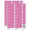 thumbnail image 1 of Urgent Squared Dot Lines Sticker Set - Hot Pink - Matte Finish - 2.00" Large, 1 of 7