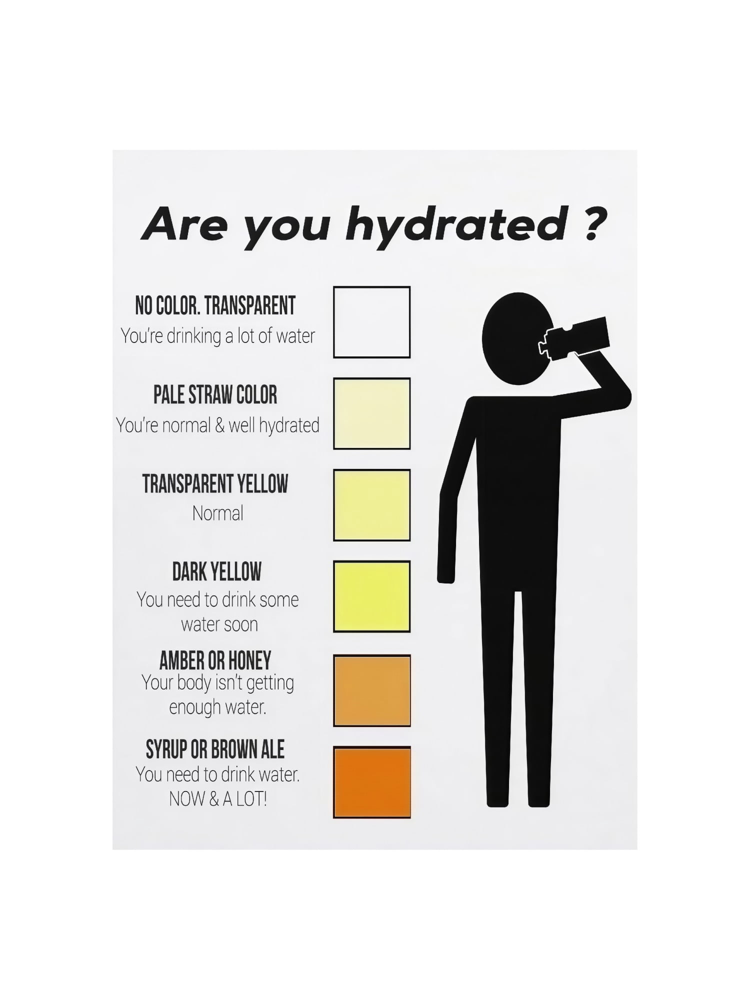 Urine Color Chart Hydration Level Guide Poster Wellness Health ...
