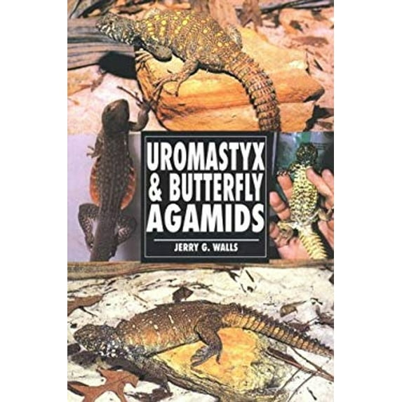 Pre-Owned Uromastyx and Butterfly Agamas (Paperback) 9780793820740