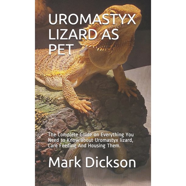 Uromastyx Lizard as Pet The Complete Guide on Everything You Need to Know about Uromastyx
