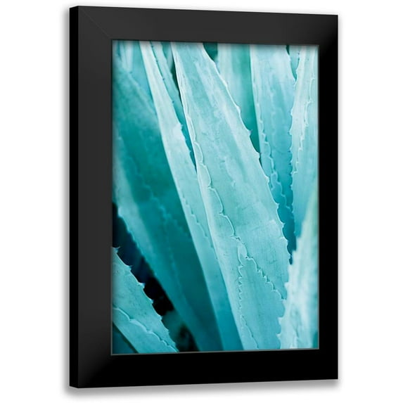 Urquhart, Elizabeth 11x14 Black Modern Framed Museum Art Print Titled - Abstract Agava IV Color