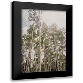 Urquhart, Elizabeth 11x14 Black Modern Framed Museum Art Print Titled - Aspen Forest 2