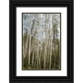 thumbnail image 1 of Urquhart, Elizabeth 11x14 Black Ornate Wood Framed with Double Matting Museum Art Print Titled - Aspen Forest 3, 1 of 4
