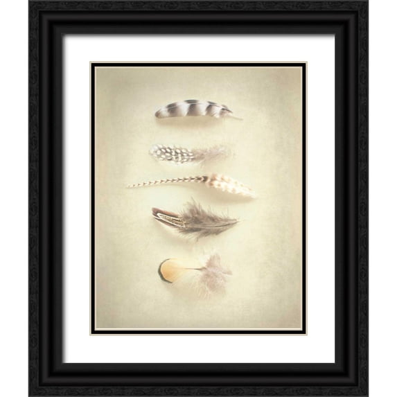 Urquhart, Elizabeth 12x14 Black Ornate Wood Framed with Double Matting Museum Art Print Titled - Feathers III