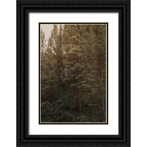 Urquhart, Elizabeth 13x18 Black Ornate Wood Framed with Double Matting Museum Art Print Titled - Pine Wilderness 2