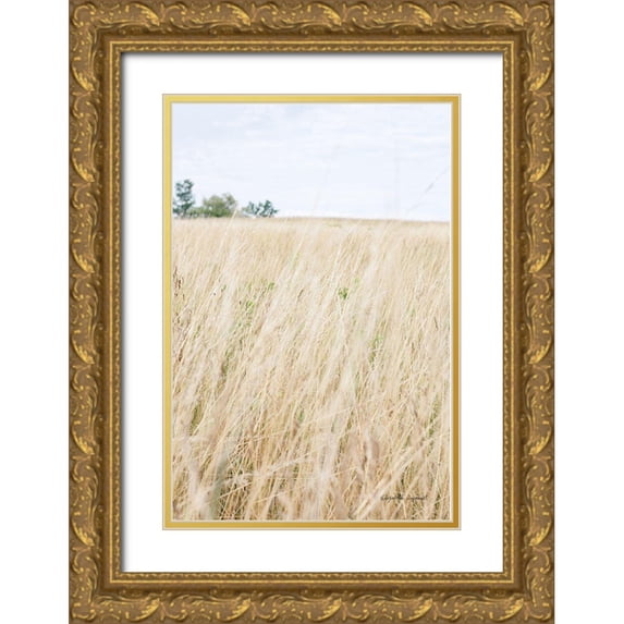 Urquhart, Elizabeth 13x18 Gold Ornate Wood Framed with Double Matting Museum Art Print Titled - On the Edge III