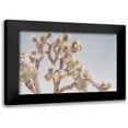 thumbnail image 1 of Urquhart, Elizabeth 14x11 Black Modern Framed Museum Art Print Titled - Desert Floral I, 1 of 5