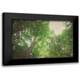 thumbnail image 1 of Urquhart, Elizabeth 14x11 Black Modern Framed Museum Art Print Titled - Emerald Canopy 1, 1 of 5