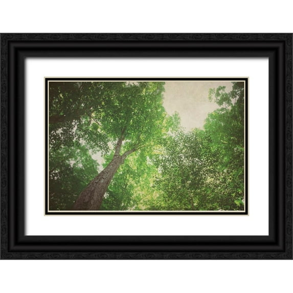 Urquhart, Elizabeth 14x11 Black Ornate Wood Framed with Double Matting Museum Art Print Titled - Emerald Canopy 1