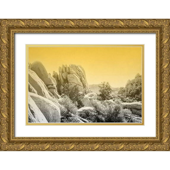 Urquhart, Elizabeth 14x11 Gold Ornate Wood Framed with Double Matting Museum Art Print Titled - Ombre Adventure I