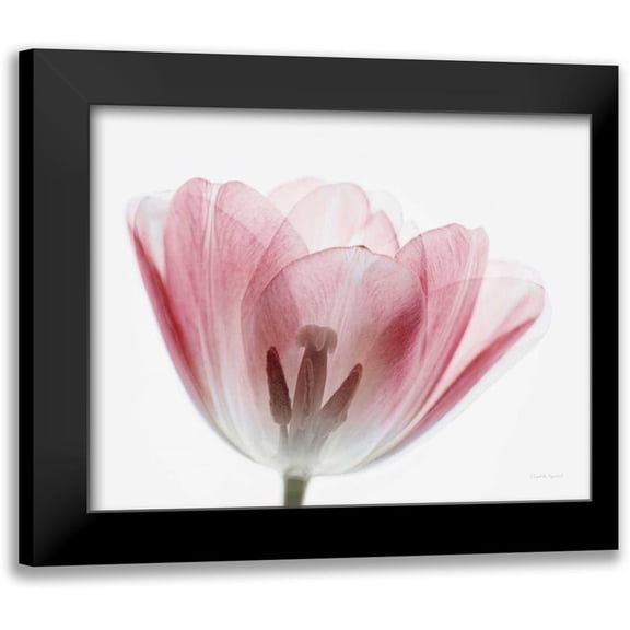 Urquhart, Elizabeth 14x12 Black Modern Framed Museum Art Print Titled - Inside Out III