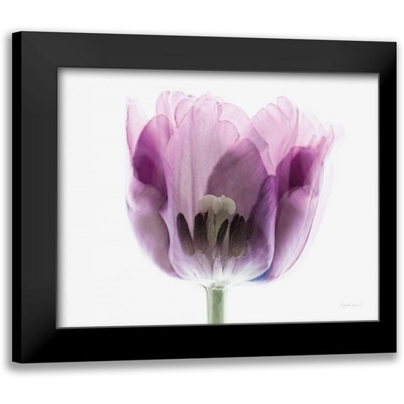 Urquhart, Elizabeth 14x12 Black Modern Framed Museum Art Print Titled - Inside Out II