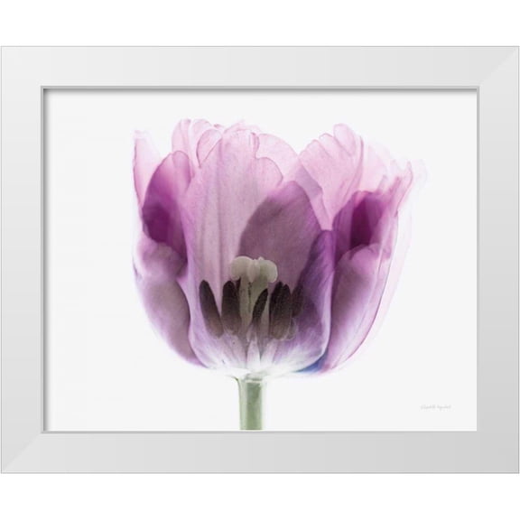 Urquhart, Elizabeth 14x12 White Modern Wood Framed Museum Art Print Titled - Inside Out II