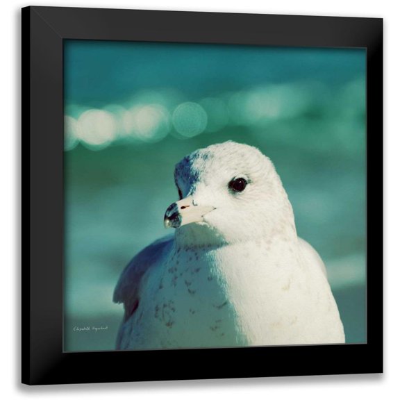 Urquhart, Elizabeth 15x15 Black Modern Framed Museum Art Print Titled - Mint Cottage Days IV Crop