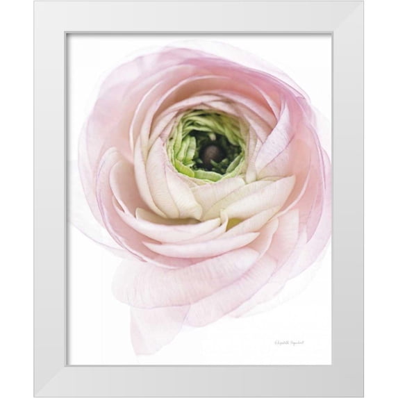 Urquhart, Elizabeth 15x18 White Modern Wood Framed Museum Art Print Titled - Pink Lady II