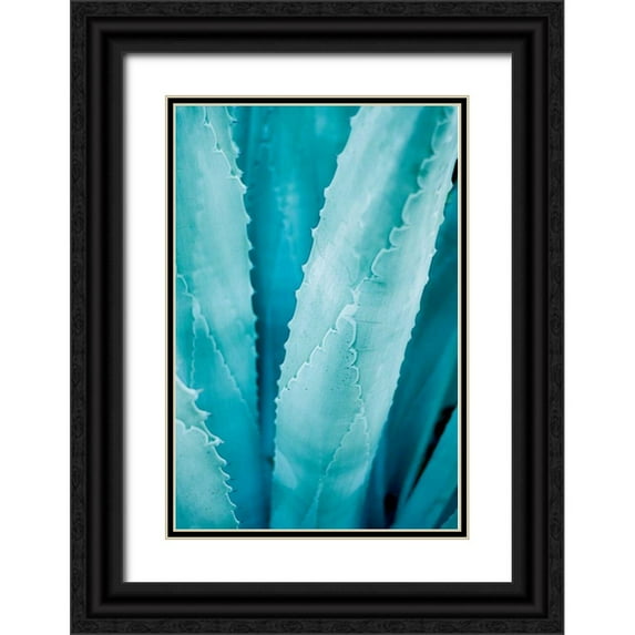 Urquhart, Elizabeth 17x24 Black Ornate Wood Framed with Double Matting Museum Art Print Titled - Abstract Agava III Color