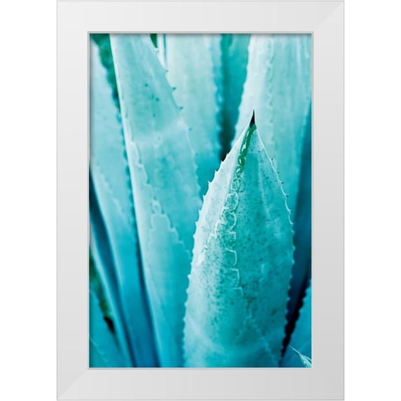 Urquhart, Elizabeth 17x24 White Modern Wood Framed Museum Art Print Titled - Abstract Agava II Color