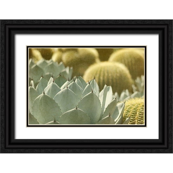 Urquhart, Elizabeth 18x13 Black Ornate Wood Framed with Double Matting Museum Art Print Titled - Pncushions 2