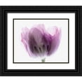 thumbnail image 1 of Urquhart, Elizabeth 18x15 Black Ornate Wood Framed with Double Matting Museum Art Print Titled - Inside Out I, 1 of 4