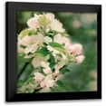 thumbnail image 1 of Urquhart, Elizabeth 20x20 Black Modern Framed Museum Art Print Titled - Apple Blossoms II Crop, 1 of 5