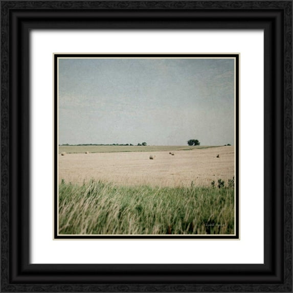 Urquhart, Elizabeth 20x20 Black Ornate Wood Framed with Double Matting Museum Art Print Titled - Neutral Country II Crop