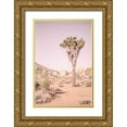 thumbnail image 1 of Urquhart, Elizabeth 23x32 Gold Ornate Wood Framed with Double Matting Museum Art Print Titled - Joshua Tree III Blush, 1 of 4