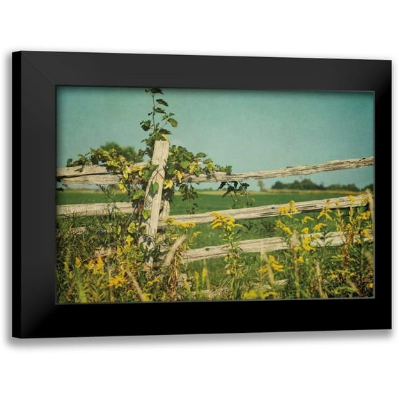 Urquhart, Elizabeth 24x17 Black Modern Framed Museum Art Print Titled - Blissful Country V