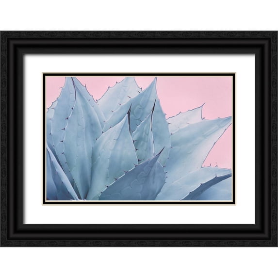 Urquhart, Elizabeth 24x17 Black Ornate Wood Framed with Double Matting Museum Art Print Titled - Pink Crush V
